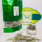 مریم گلی