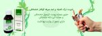 کوکنار