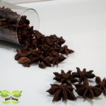 انیسون ستاره