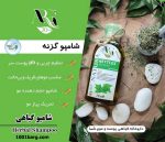شامپو گزنه
